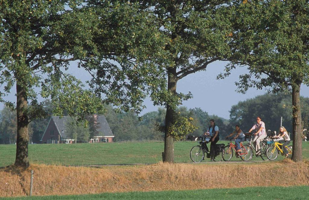 Camping Het Wieskamp Henxel Eksteriør billede